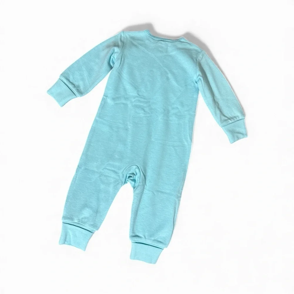 Hanes Baby Flexy 2-Pack Long Sleeve Rompers – Size 0–6M – Blue & Gray Stripe